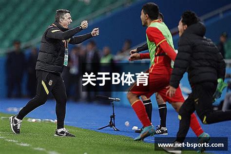 熊猫体育